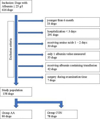 Influence of intravenous 10% amino acids infusion on serum albumin concentration in hypoalbuminemic dogs